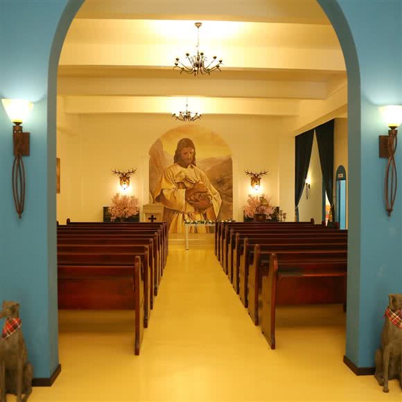 彼得宠物火化殡葬全国连锁(观音桥店):重庆城区江北区观音桥附近