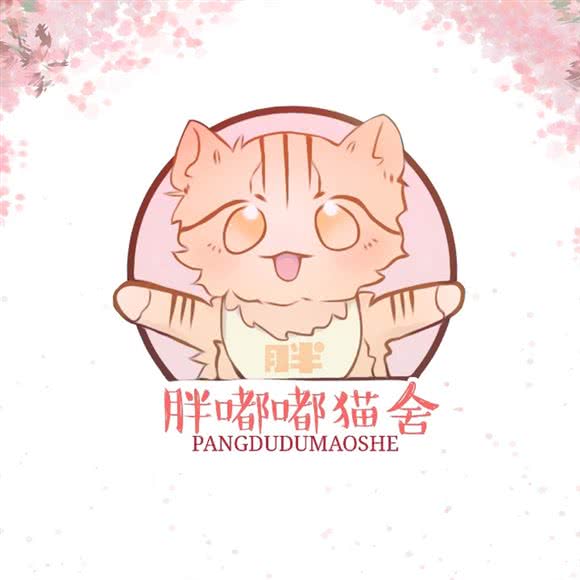 胖嘟嘟猫舍:重庆城区江北区观音桥附近