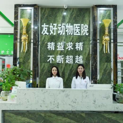 友好动物医院(江北总院):重庆城区江北区观音桥附近