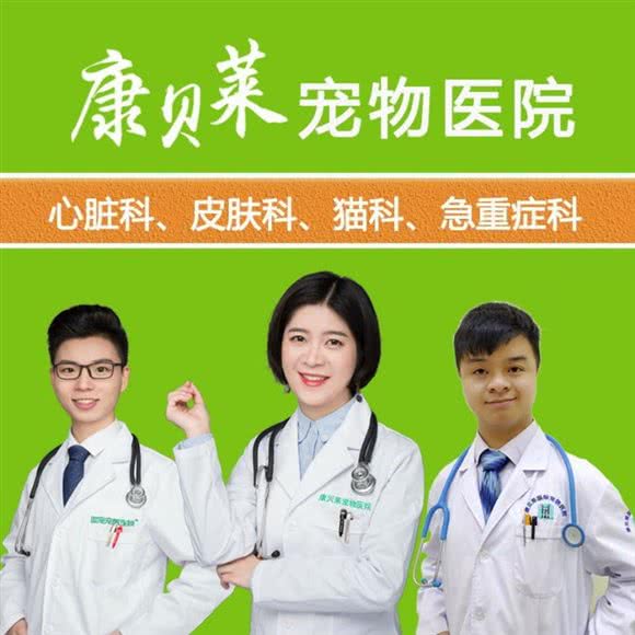 康贝莱宠物医院·皮肤科·猫科·内科(江北院):重庆城区江北区观音桥附近