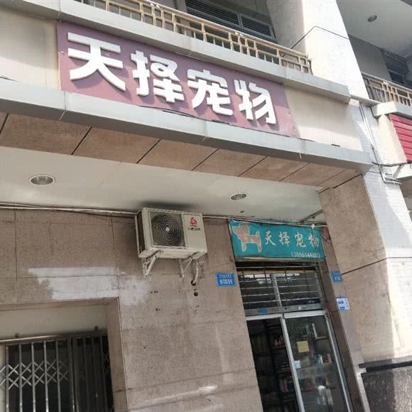 天择宠物:重庆城区江北区大石坝附近