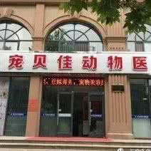 宠贝佳动物医院:石家庄市长安区谈固附近