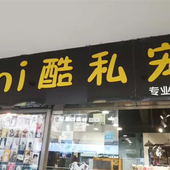 mi酷私宠:重庆城区江北区大石坝附近