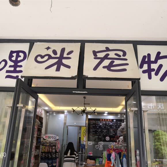 嘿咪.宠物:重庆城区江北区大石坝附近