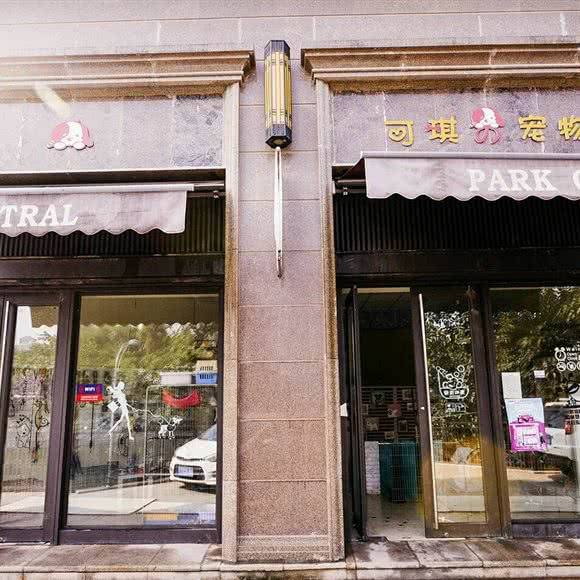 可琪宠物生活馆:重庆城区江北区大石坝附近