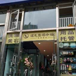 汪先生喵小姐:重庆城区江北区大石坝附近