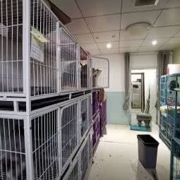 芳邻宠物之家(左家庄店):北京城区朝阳区左家庄附近