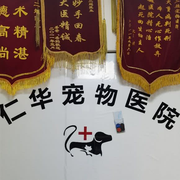 江北区仁华宠物诊所:重庆城区江北区大石坝附近