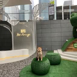 Pet Lounge宠物主题乐园:重庆城区江北区五里店/江北嘴附近