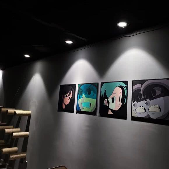 RouRou萌宠馆·猫咖·桌游?DIY(ROUROU宠物店):石家庄市长安区乐汇城附近