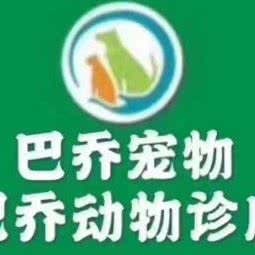 巴乔宠物:重庆城区江北区五里店/江北嘴附近