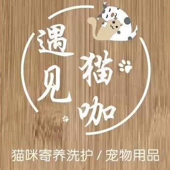 遇见猫咖?猫咪洗护寄养用品:重庆城区江北区洋河花园附近