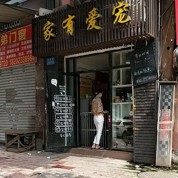 家有爱宠(景辉路店):重庆城区江北区盘溪/南桥寺附近