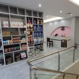 提莫家宠物医院:重庆城区江北区盘溪/南桥寺附近