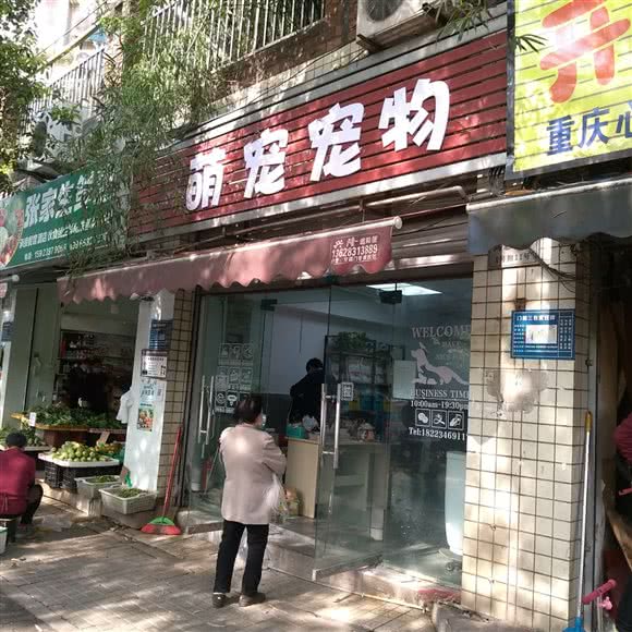 萌宠宠物:重庆城区江北区小苑/鸿恩寺附近
