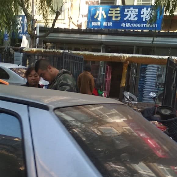 小毛宠物:石家庄市长安区建华百货附近