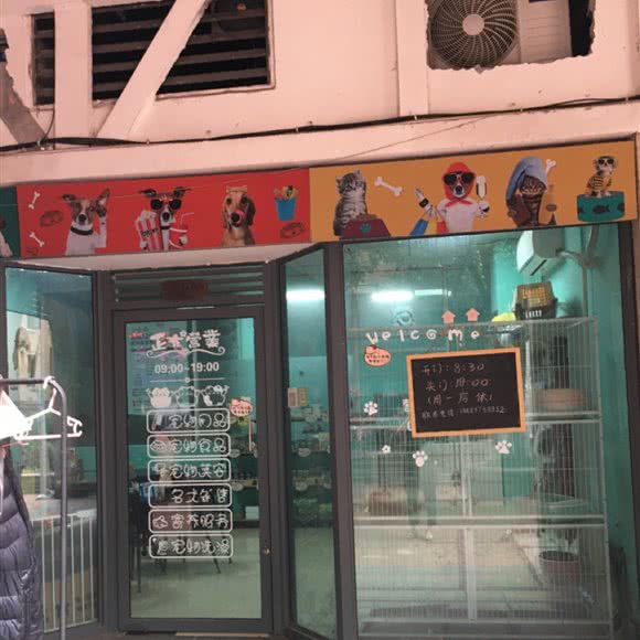 小小月宠物狗馆:重庆城区江北区石马河附近