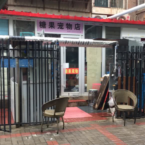 糖果宠物店:石家庄市长安区建华百货附近