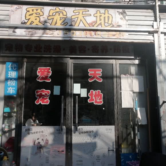 爱宠天地:石家庄市长安区建华百货附近