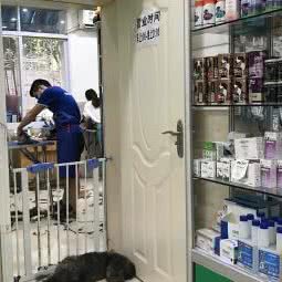 飞跃宠物:重庆城区沙坪坝区沙坪坝/重庆大学附近