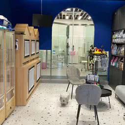 贝乐岛宠物:重庆城区沙坪坝区磁器口附近