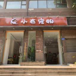 小布宠物:重庆城区沙坪坝区天星桥附近