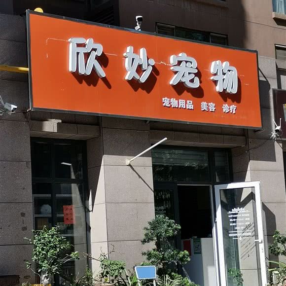 欣妙宠物:石家庄市长安区盛世长安附近