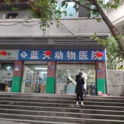 蓝天动物医院:重庆城区沙坪坝区小龙坎附近