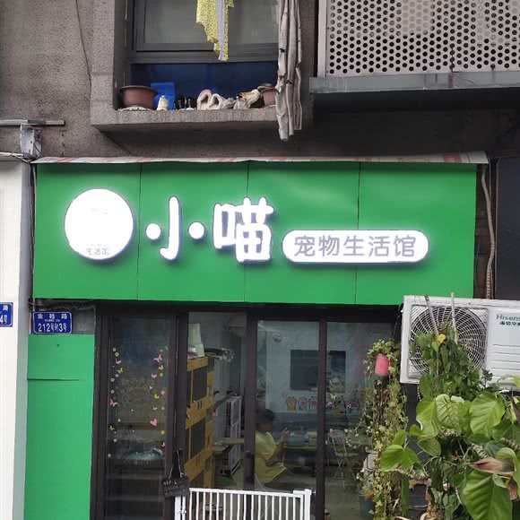 小喵宠物生活馆:重庆城区沙坪坝区杨公桥附近