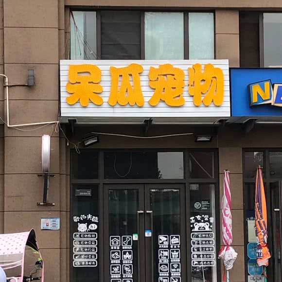 呆瓜宠物:重庆城区沙坪坝区大学城附近