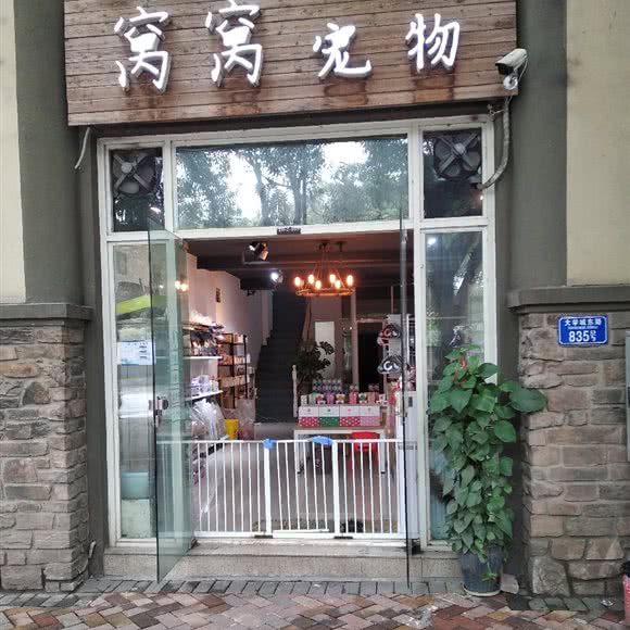 窝窝宠物:重庆城区沙坪坝区大学城附近