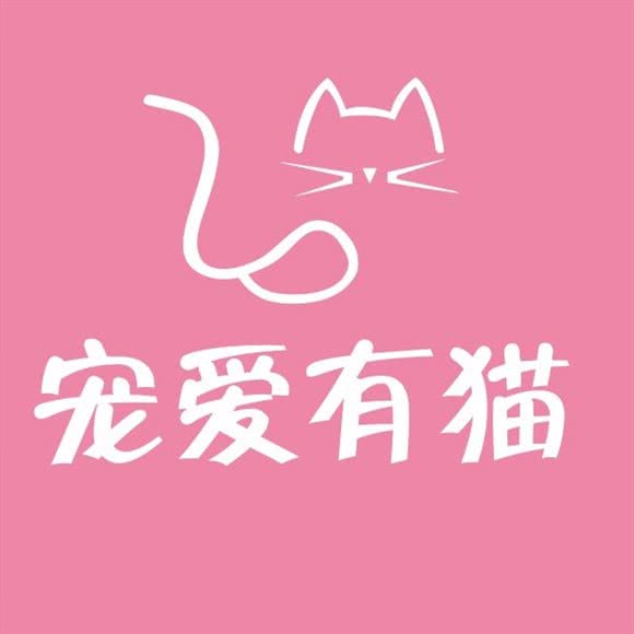 宠爱有猫:重庆城区沙坪坝区大学城附近
