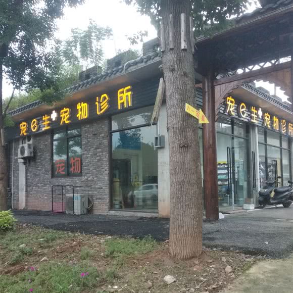 宠e生+宠物诊所:重庆城区沙坪坝区大学城附近