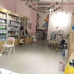 超级萌宠:重庆城区沙坪坝区微电园附近