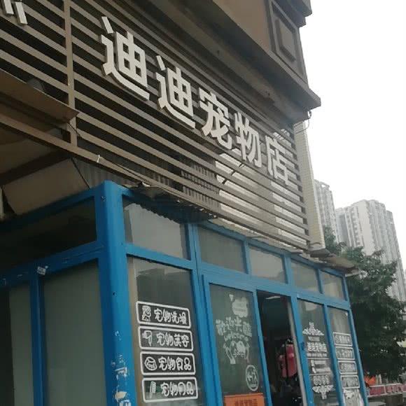 迪迪宠物店:重庆城区九龙坡区杨家坪附近