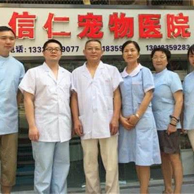 杨家坪信仁宠物医院:重庆城区九龙坡区杨家坪附近