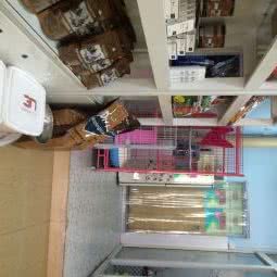 遇见萌宠宠物生活馆:重庆城区九龙坡区谢家湾附近