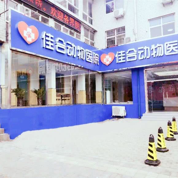 佳合动物医院:石家庄市长安区盛世长安附近