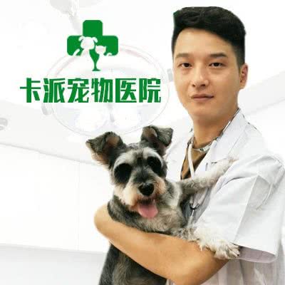 卡派宠物医院:重庆城区九龙坡区谢家湾附近
