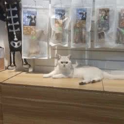 宠爱一生(谢家湾正街):重庆城区九龙坡区袁家岗附近