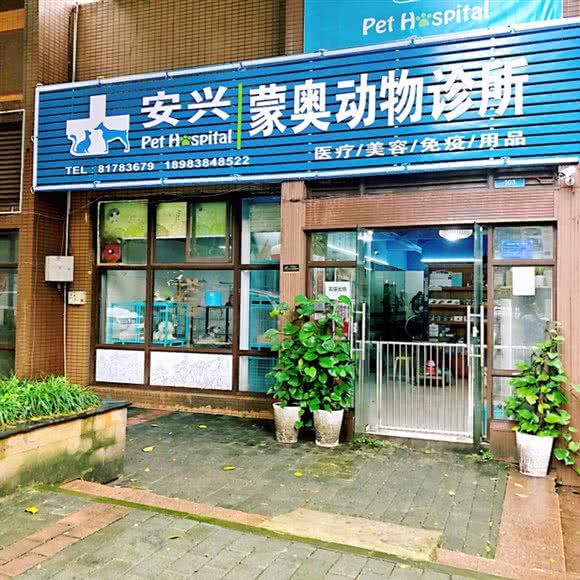 安兴蒙奥宠物医院:重庆城区九龙坡区袁家岗附近