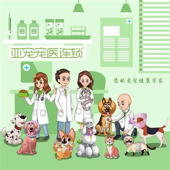 24H亚宠动物医院·亚宠猫科(大公馆总院):重庆城区九龙坡区袁家岗附近