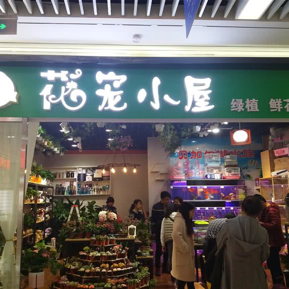 花宠阁楼:重庆城区九龙坡区石桥铺附近