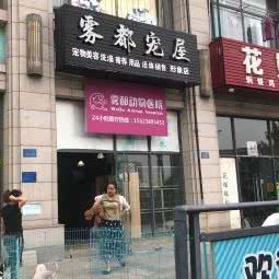 雾都宠屋(半山公馆店):重庆城区九龙坡区石桥铺附近