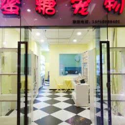 蜜糖宠物:重庆城区九龙坡区石桥铺附近