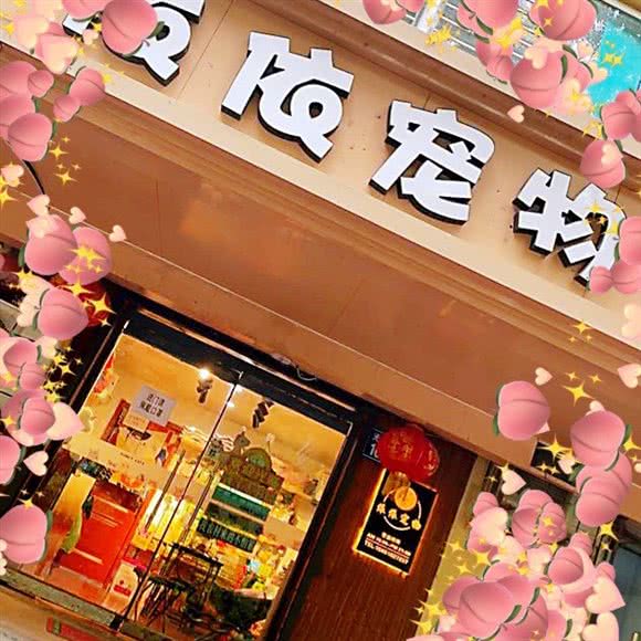 依依宠物(临街店):石家庄市长安区运河桥客运站附近