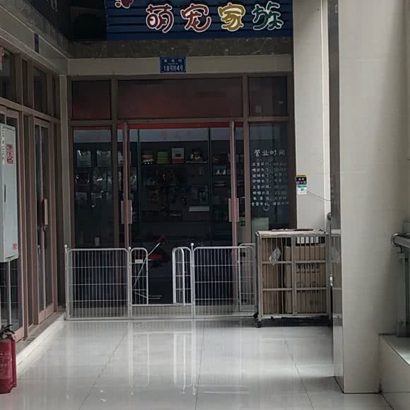 萌宠家族:重庆城区九龙坡区石桥铺附近