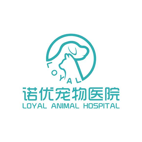 诺优宠物医院:重庆城区九龙坡区石桥铺附近