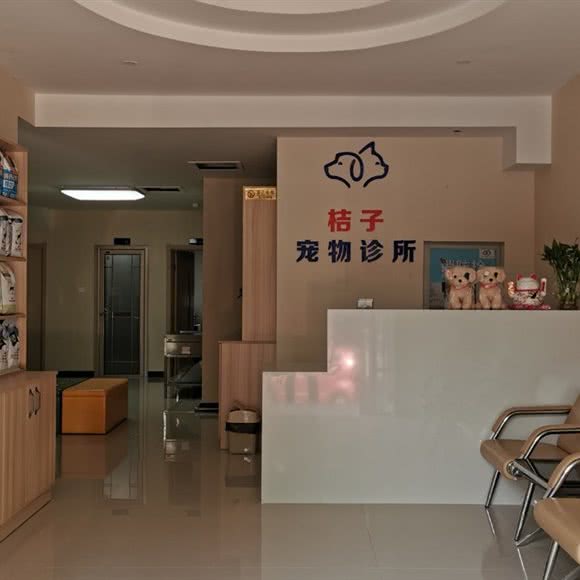 桔子狗狗诊所:石家庄市长安区运河桥客运站附近