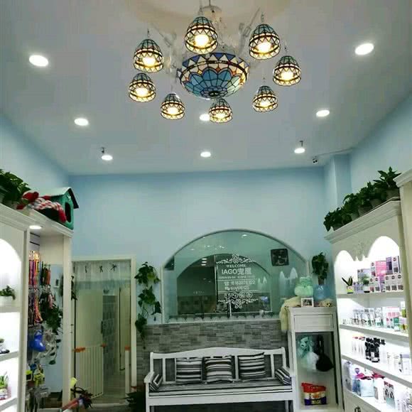 IAGO宠屋?宠物酒店:重庆城区九龙坡区巴国城附近